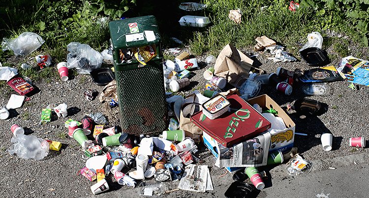 BILD Nytt svenskt Clean Tech bolag introduceras